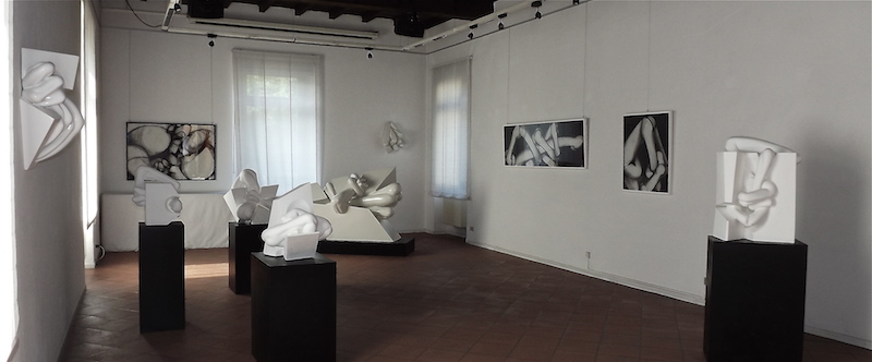 2014 – Premio Giancarlo Sangregorio, Varese